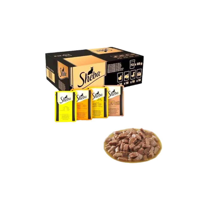 Sheba 1