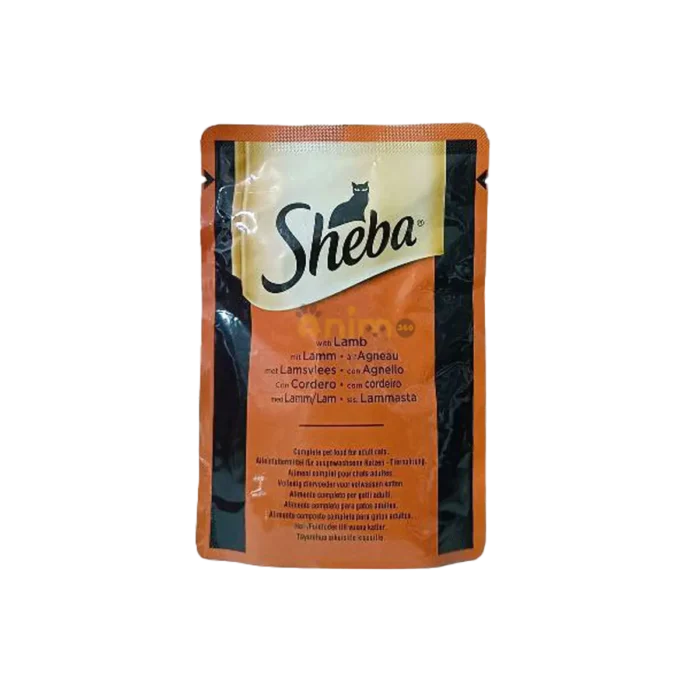 Sheba 2