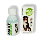 Maxy vers mort chien 2
