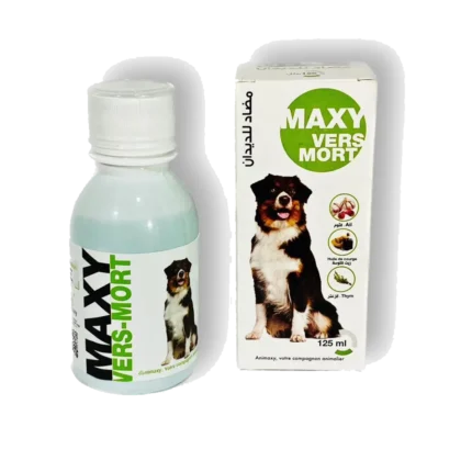 Maxy vers mort chien 2