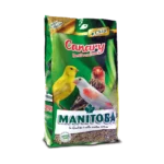 Manitoba canary