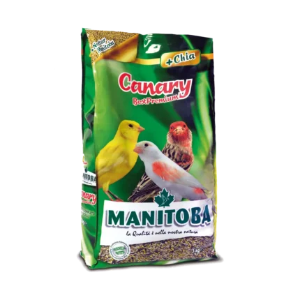 Manitoba canary