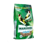 Manitoba Chardonneret