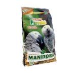 Manitoba Perroquet Africain