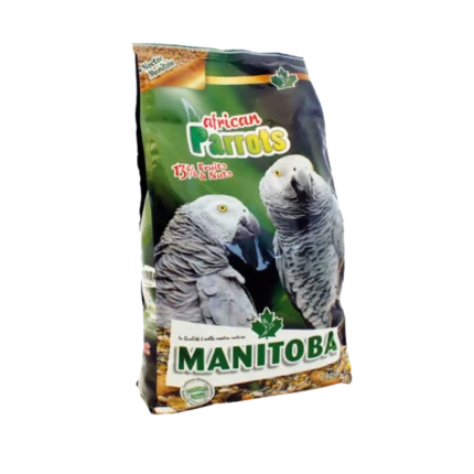 African parrots manitoba
