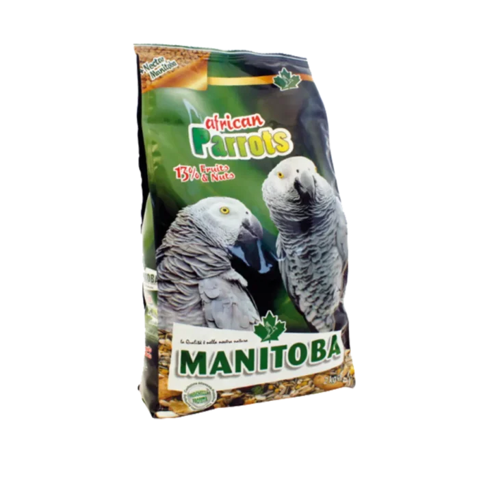 African parrots manitoba