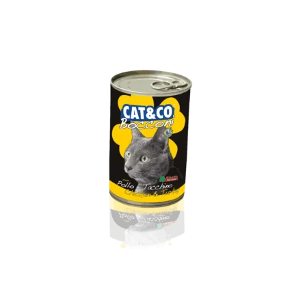 Cat co 2