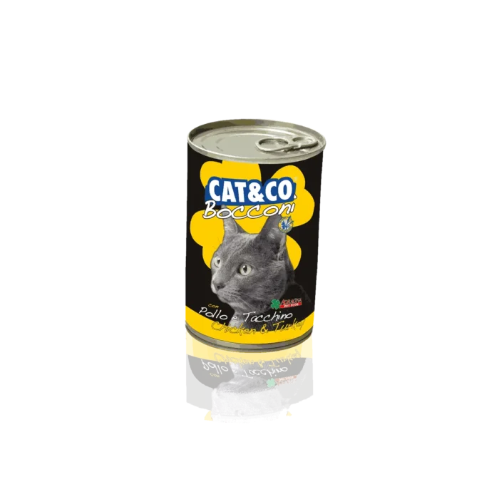Cat co 2