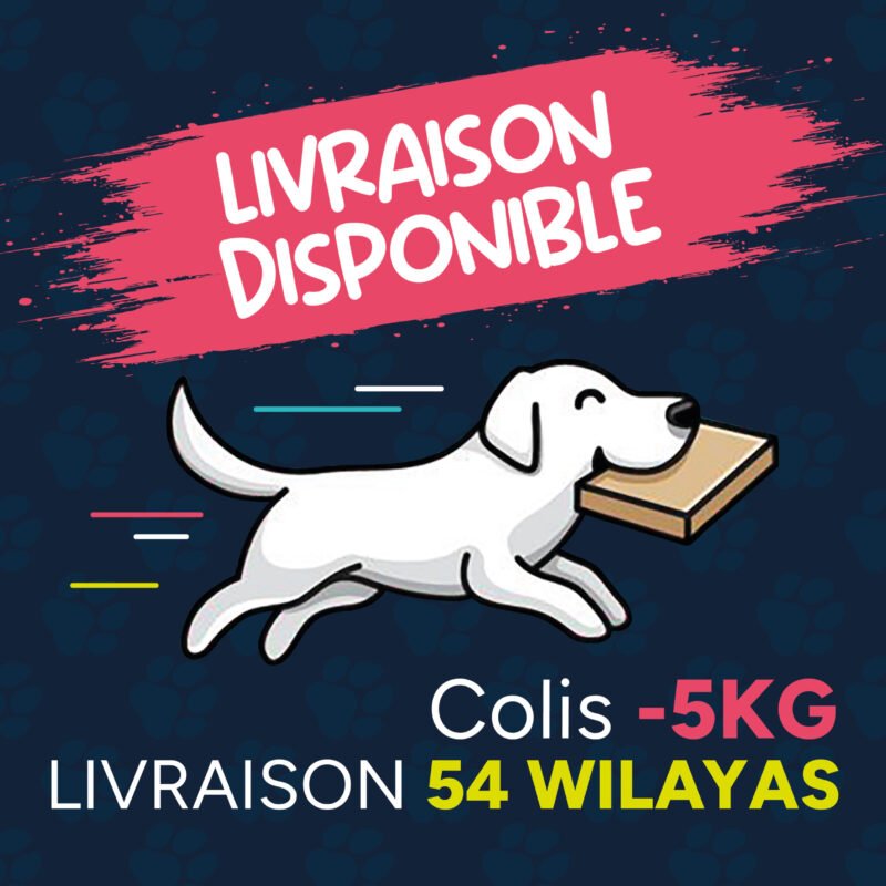 Livraison 1 plan de travail 1 copie