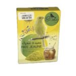 Photoroom 20250616 231443