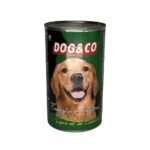 Photoroom 20250616 232134