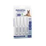 Photoroom 20250617 232316