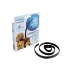 Photoroom 20250617 232606