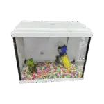 Photoroom 20250701 204914