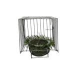 Photoroom 20250703 101927