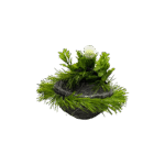 Photoroom 20250703 101957