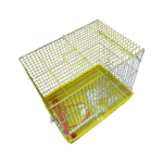 Photoroom 20250708 092034