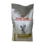 Photoroom 20250714 133103