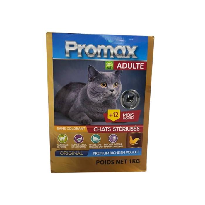 Photoroom 20250726 134338