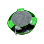 Photoroom 20250728 214129