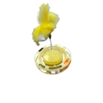 Photoroom 20250728 214227